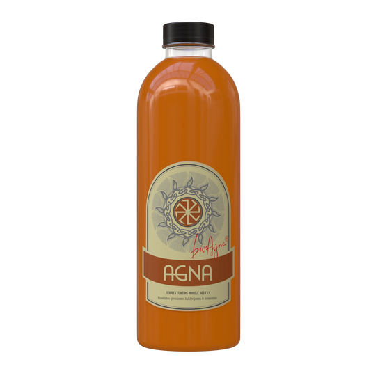 AGNA — Fermentuotos Morkų Sultys Gerųjų Bakterijų Koncentratas