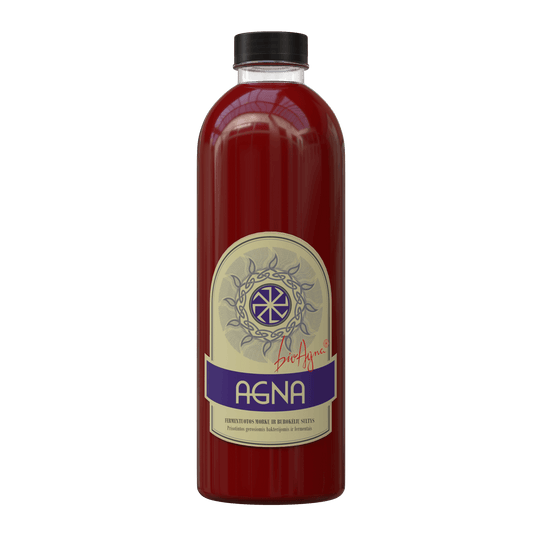 AGNA — Fermentuotos Morkų Ir Burokėlių Sultys Gerųjų Bakterijų Koncentratas